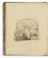 MEDICINE/SCIENCE  BELL, CHARLES.  The Anatomy of the Brain.  1802 + A Series of Engravings explaining the Course of the Nerves.  1803